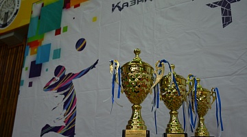 Volleyball tournament among archivists